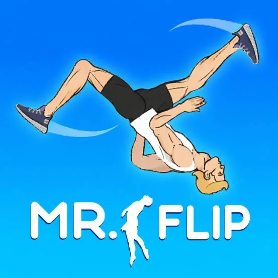 Mr Flip